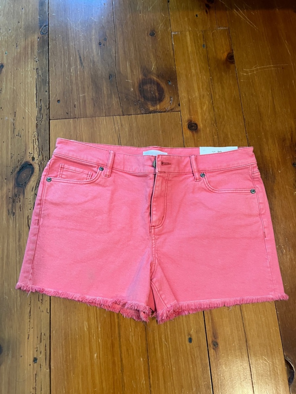 Women’s LOFT Coral Pink Frayed Hem Shorts